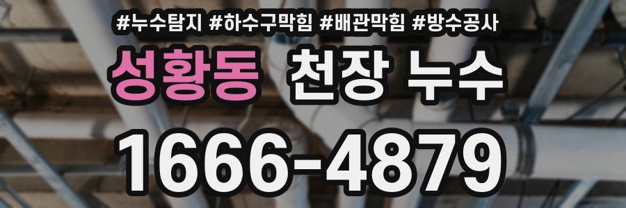 성황동 천장 누수