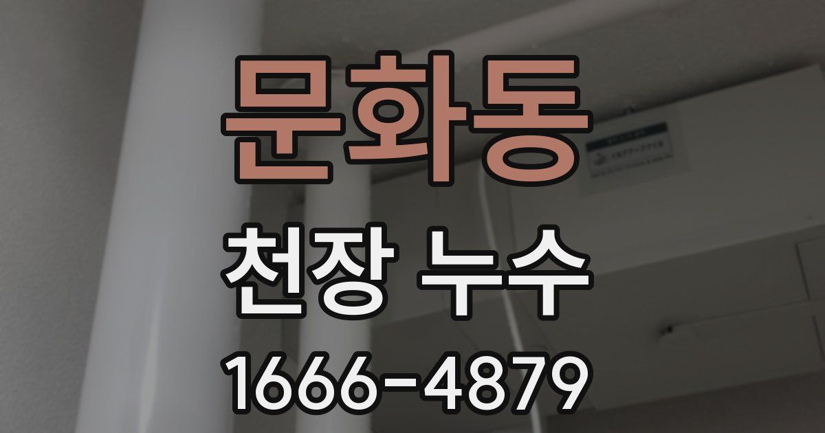 문화동 천장 누수