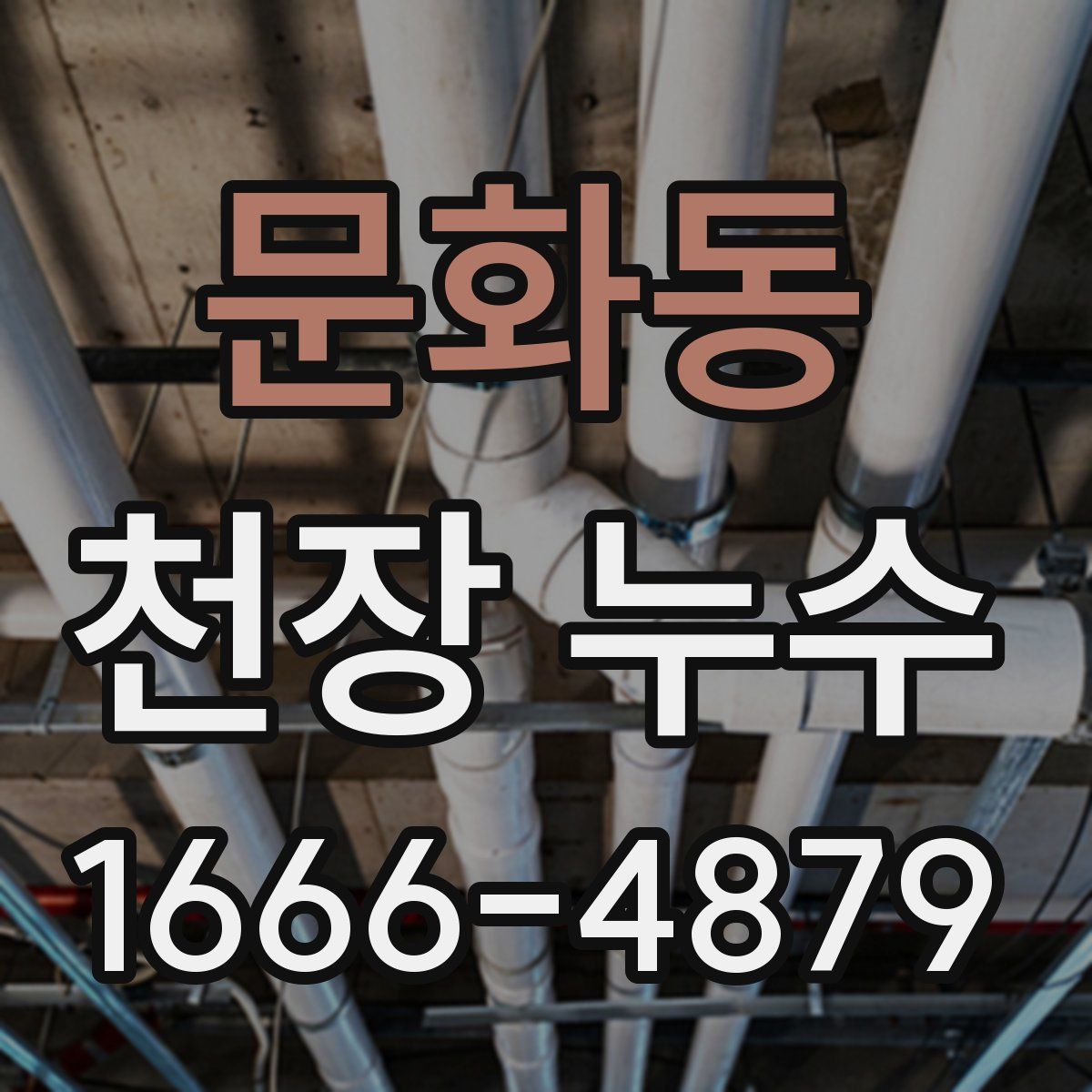 문화동 천장 누수