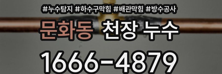 문화동 천장 누수