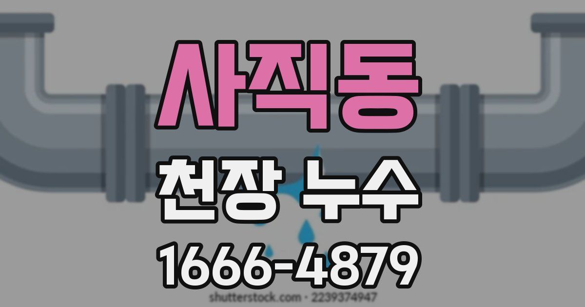 사직동 천장 누수