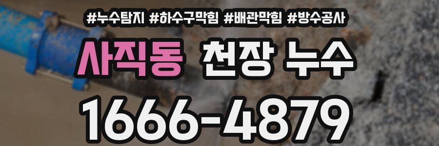 사직동 천장 누수