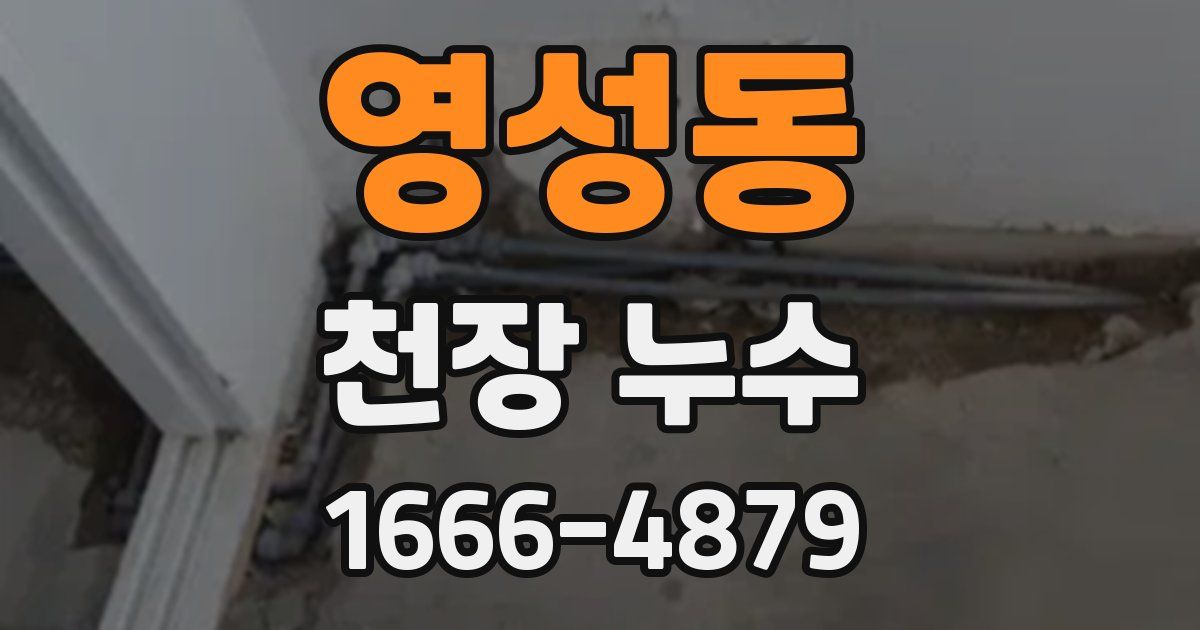 영성동 천장 누수