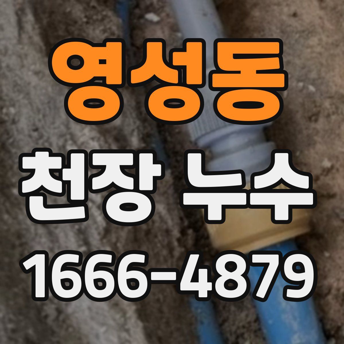 영성동 천장 누수