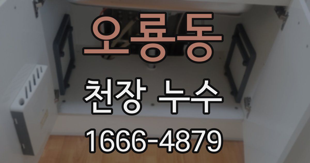 오룡동 천장 누수