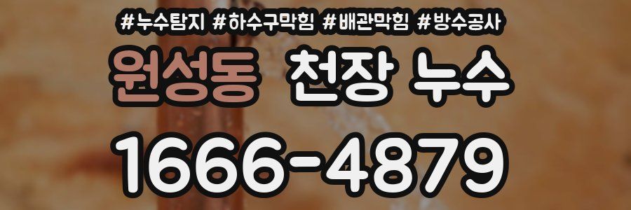 원성동 천장 누수