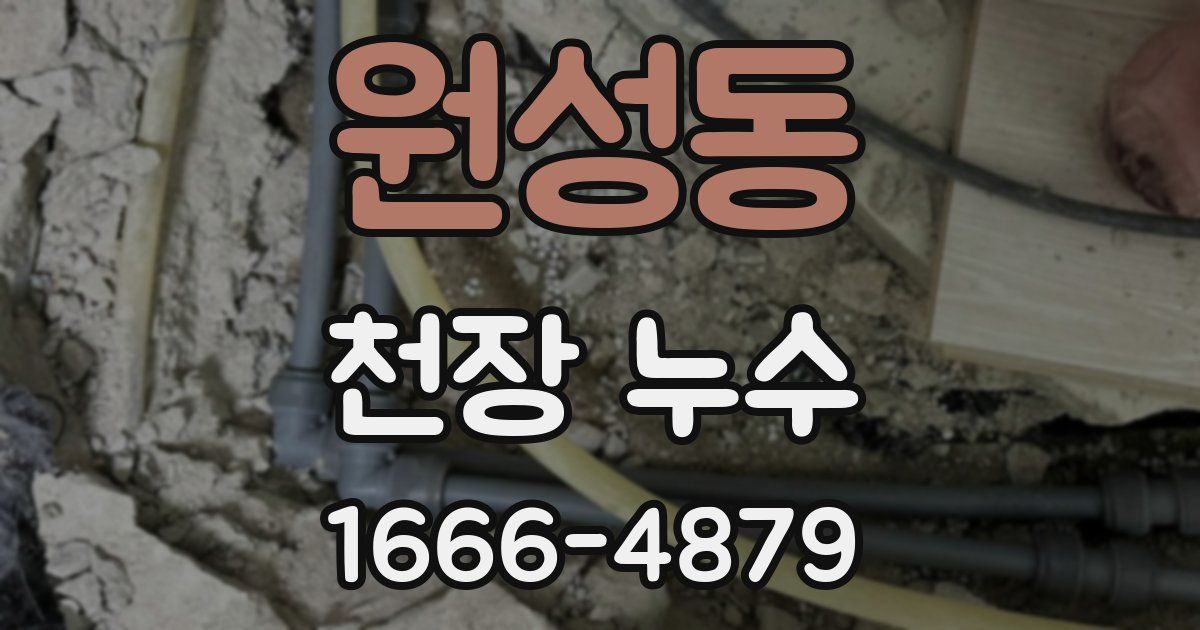 원성동 천장 누수