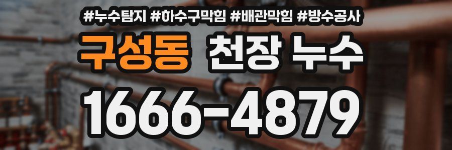 구성동 천장 누수