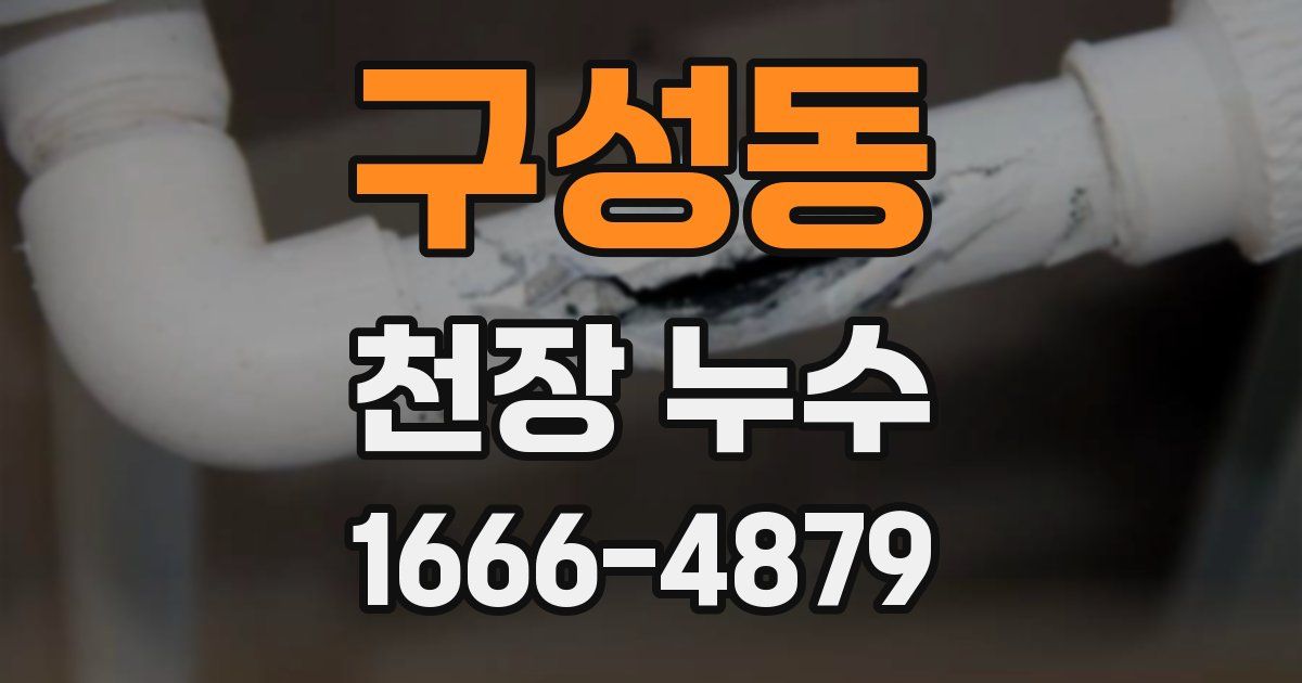 구성동 천장 누수
