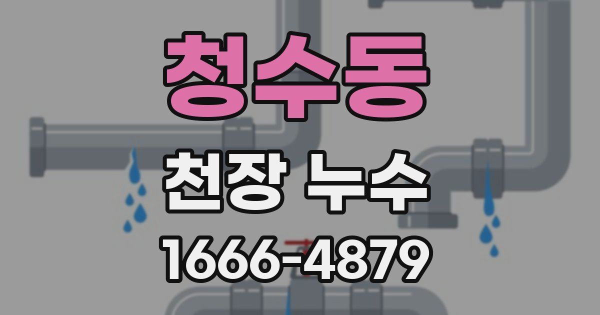 청수동 천장 누수