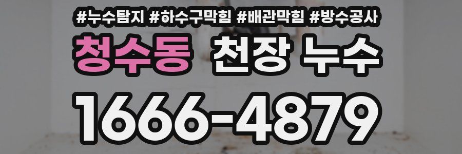 청수동 천장 누수