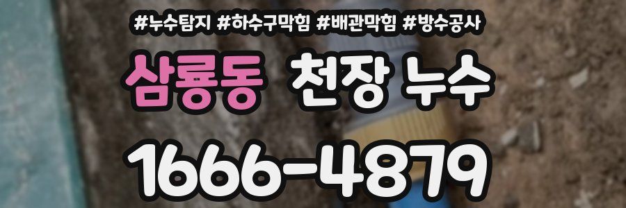삼룡동 천장 누수