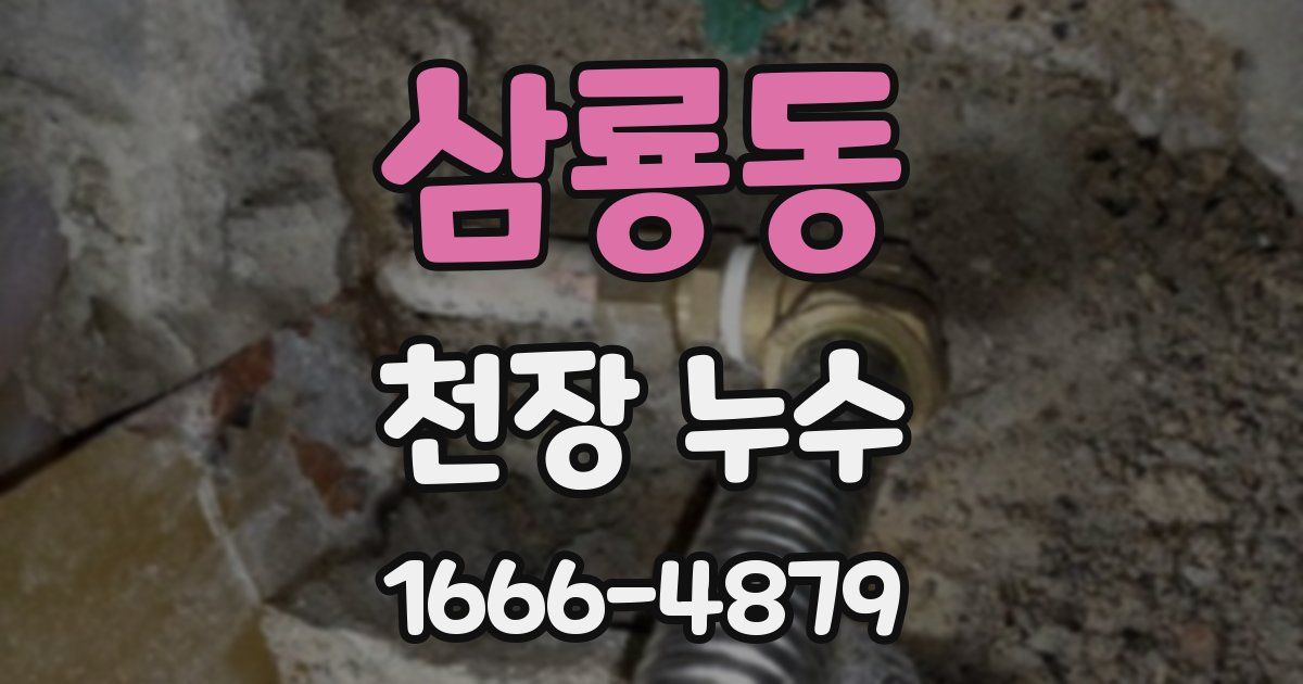삼룡동 천장 누수