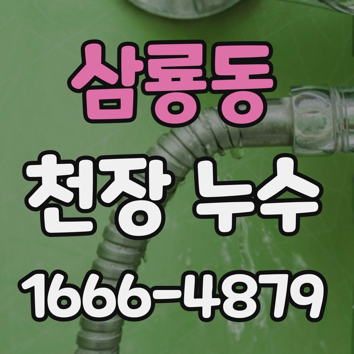 삼룡동 천장 누수