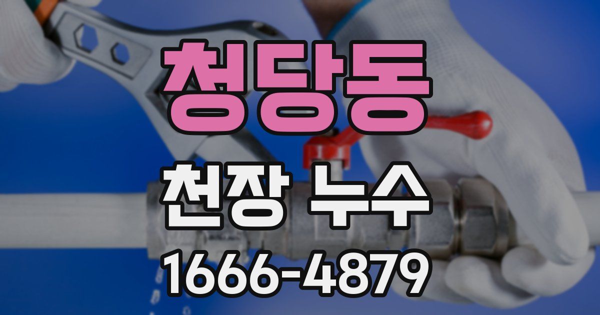 청당동 천장 누수