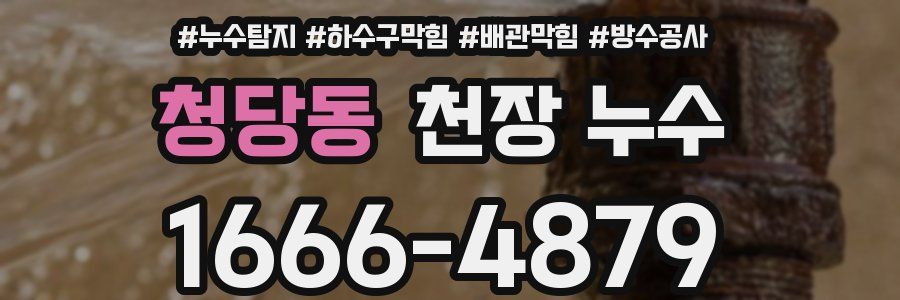 청당동 천장 누수