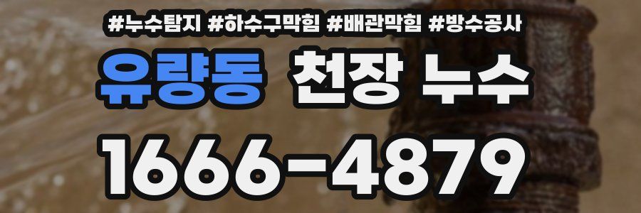 유량동 천장 누수
