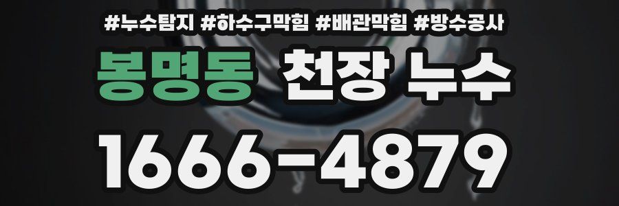 봉명동 천장 누수