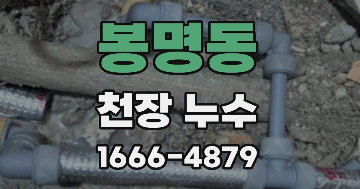봉명동 천장 누수