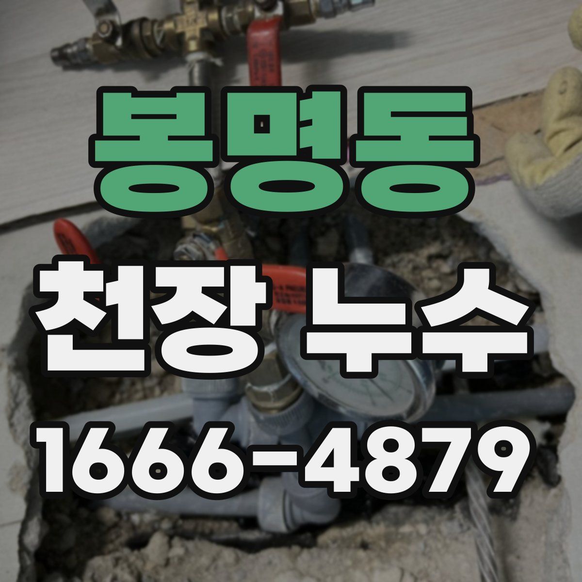 봉명동 천장 누수