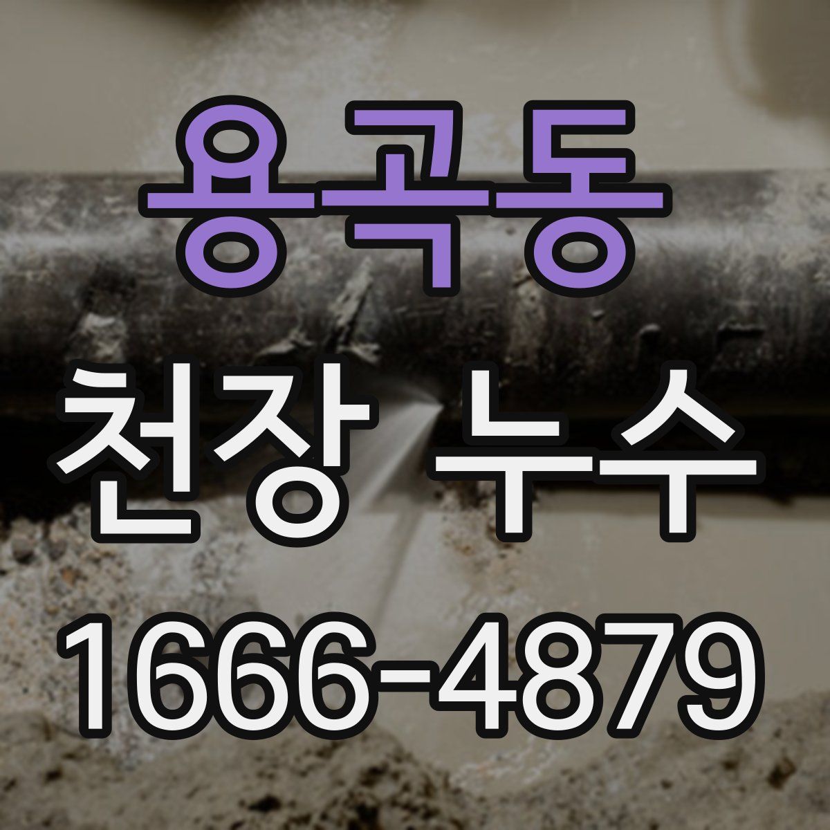 용곡동 천장 누수