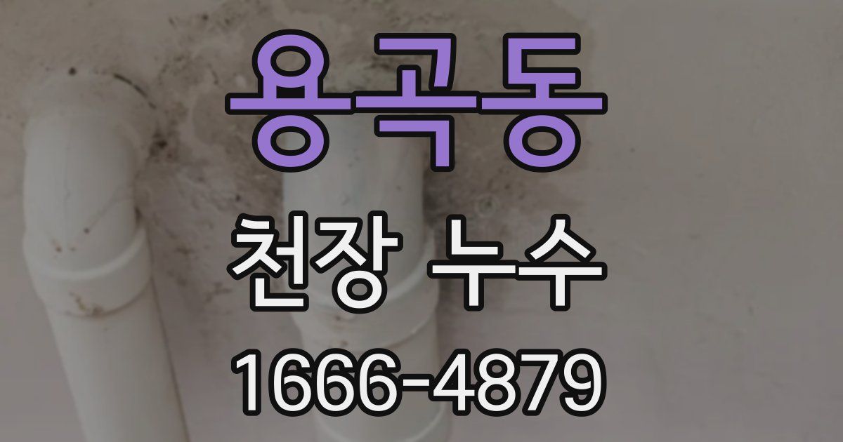 용곡동 천장 누수