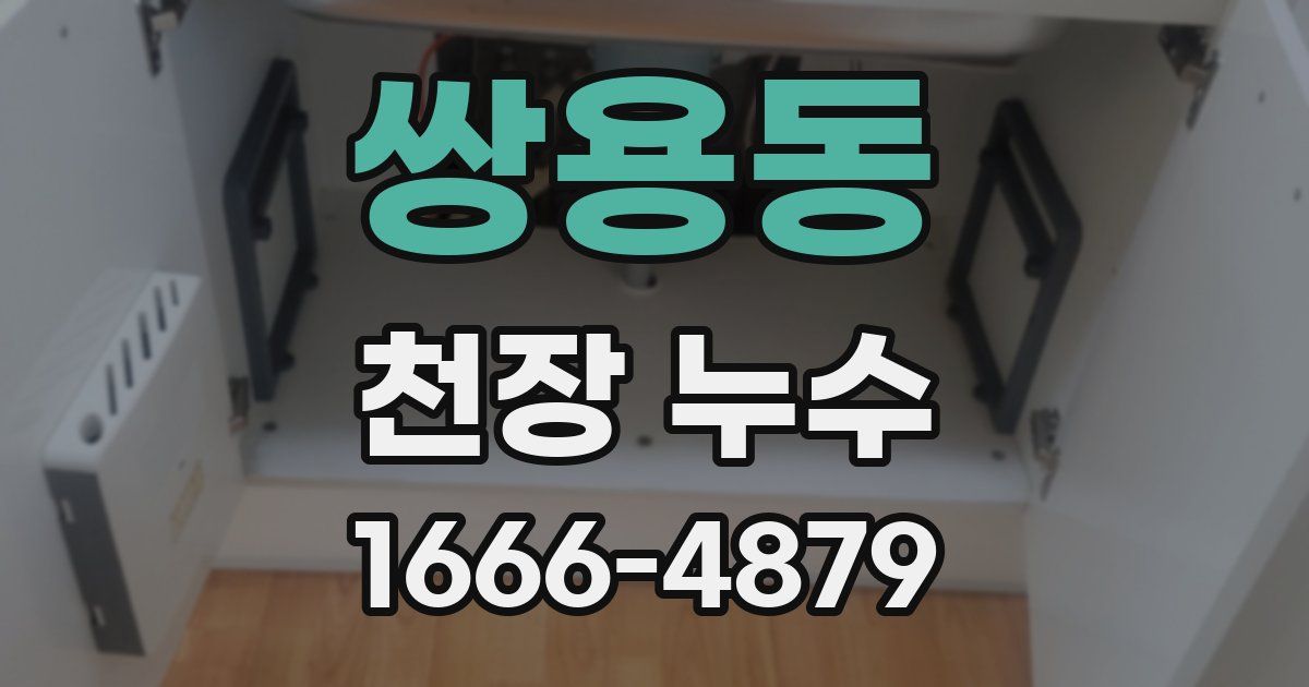 쌍용동 천장 누수