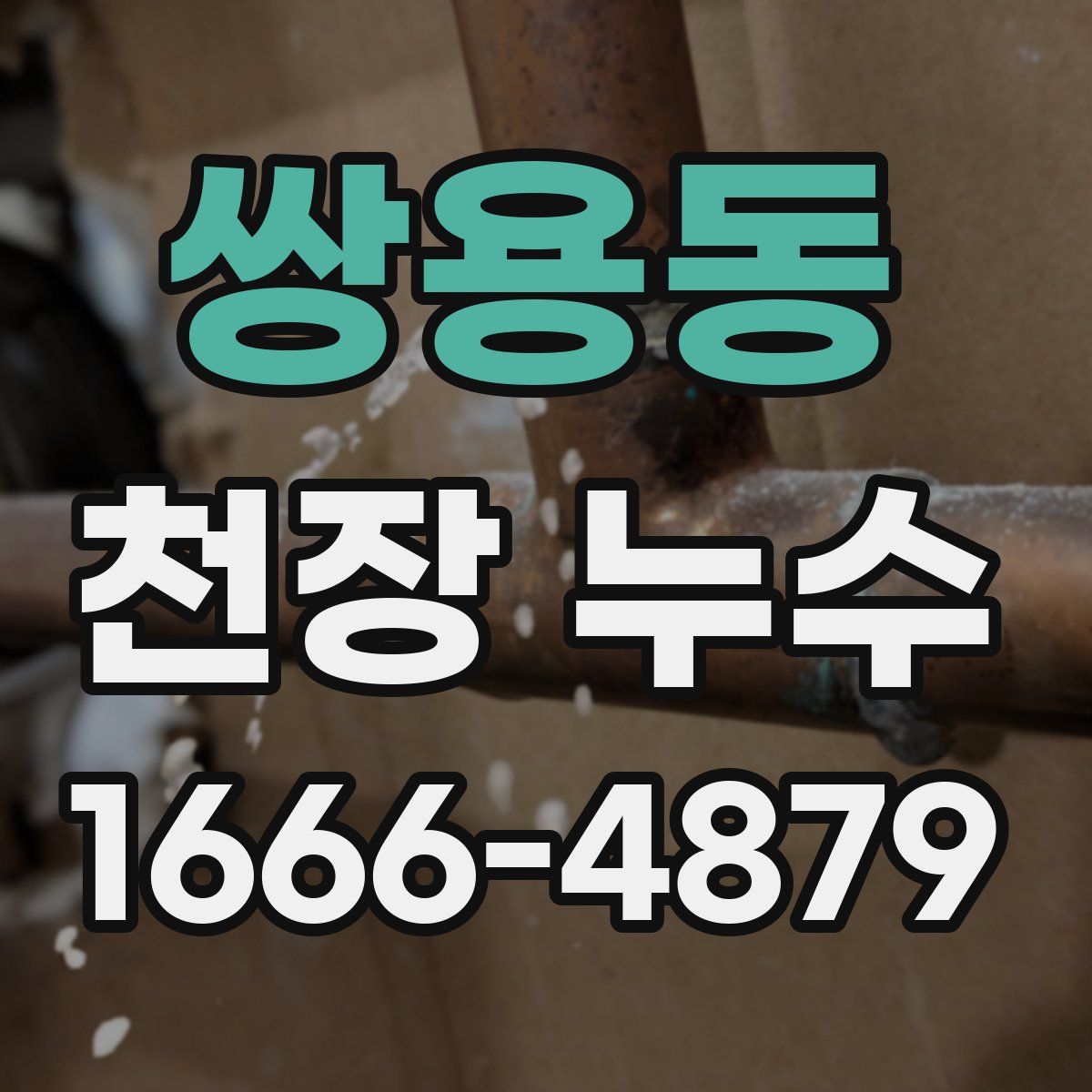 쌍용동 천장 누수