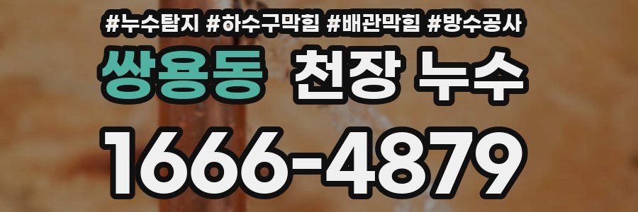 쌍용동 천장 누수