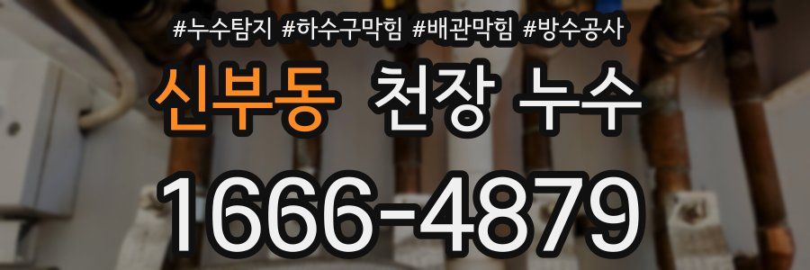 신부동 천장 누수