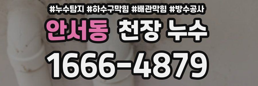 안서동 천장 누수