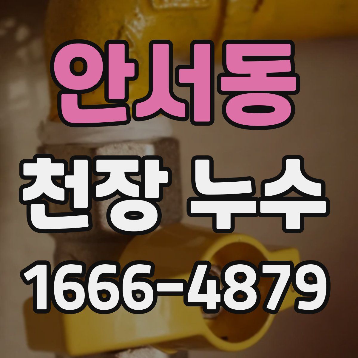 안서동 천장 누수