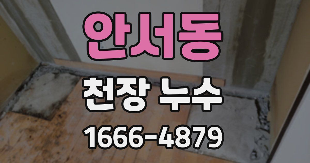 안서동 천장 누수