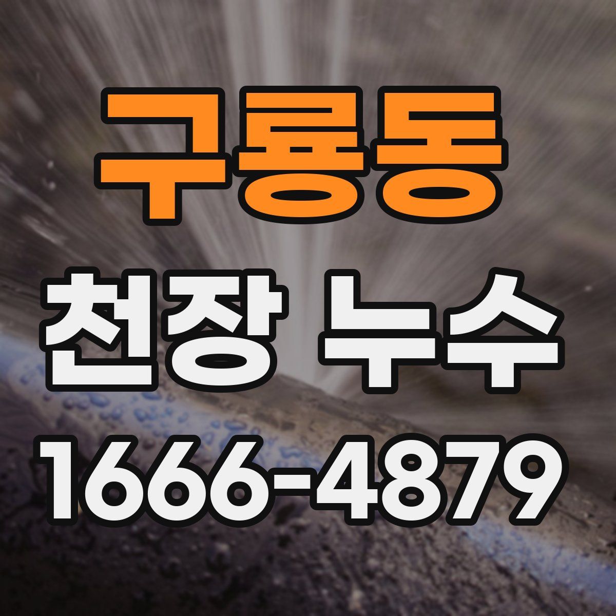 구룡동 천장 누수