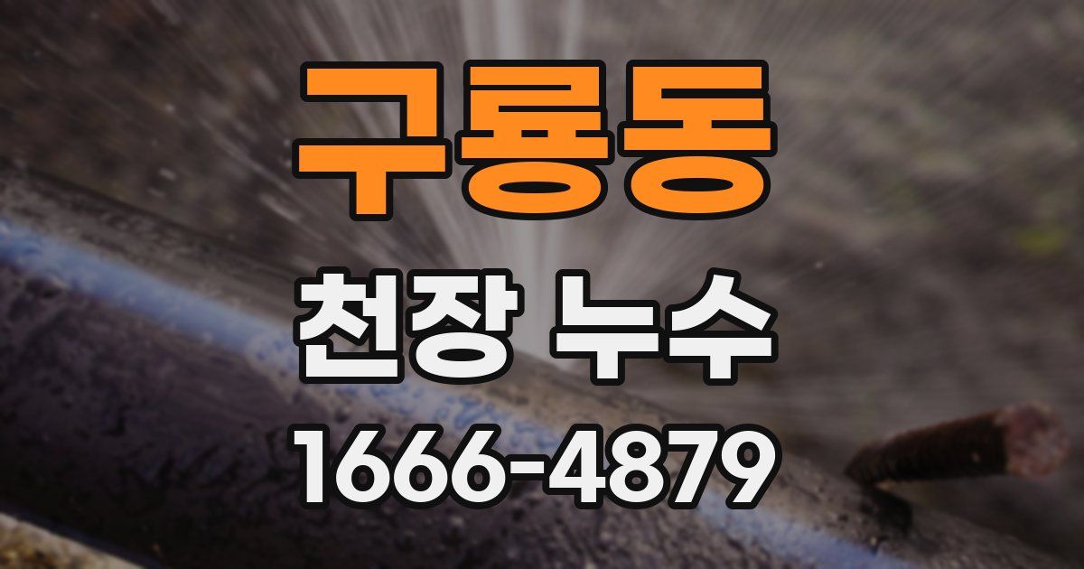 구룡동 천장 누수