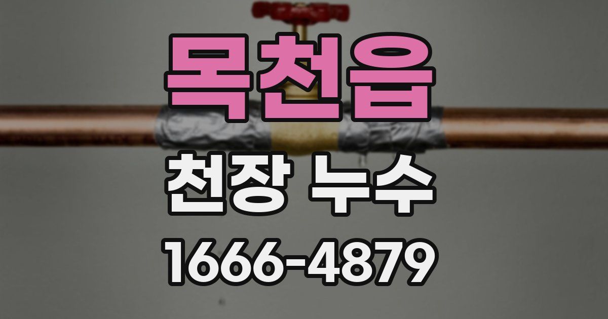 목천읍 천장 누수