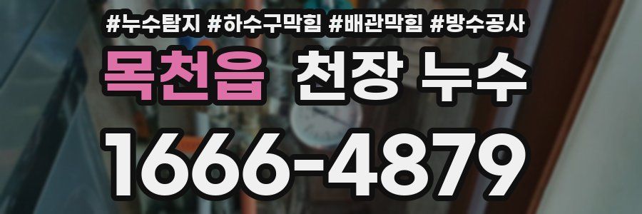 목천읍 천장 누수