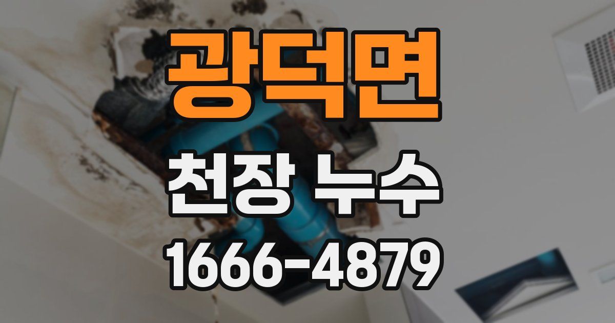 광덕면 천장 누수