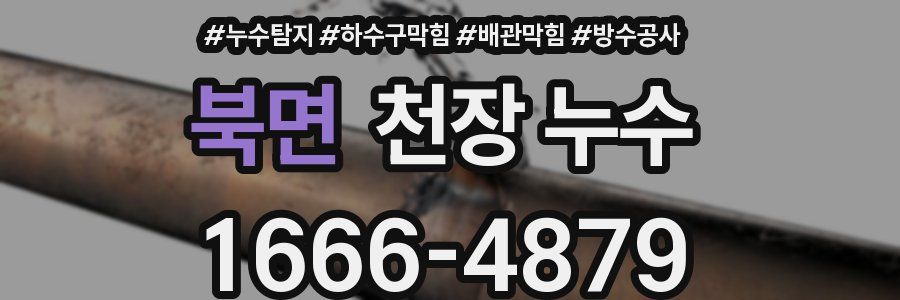 북면 천장 누수