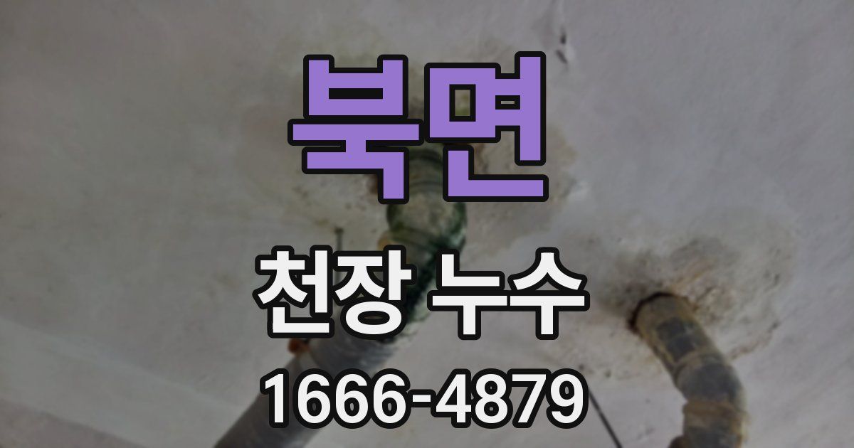 북면 천장 누수
