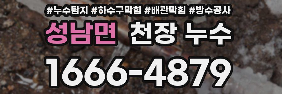 성남면 천장 누수