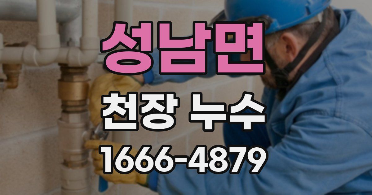 성남면 천장 누수