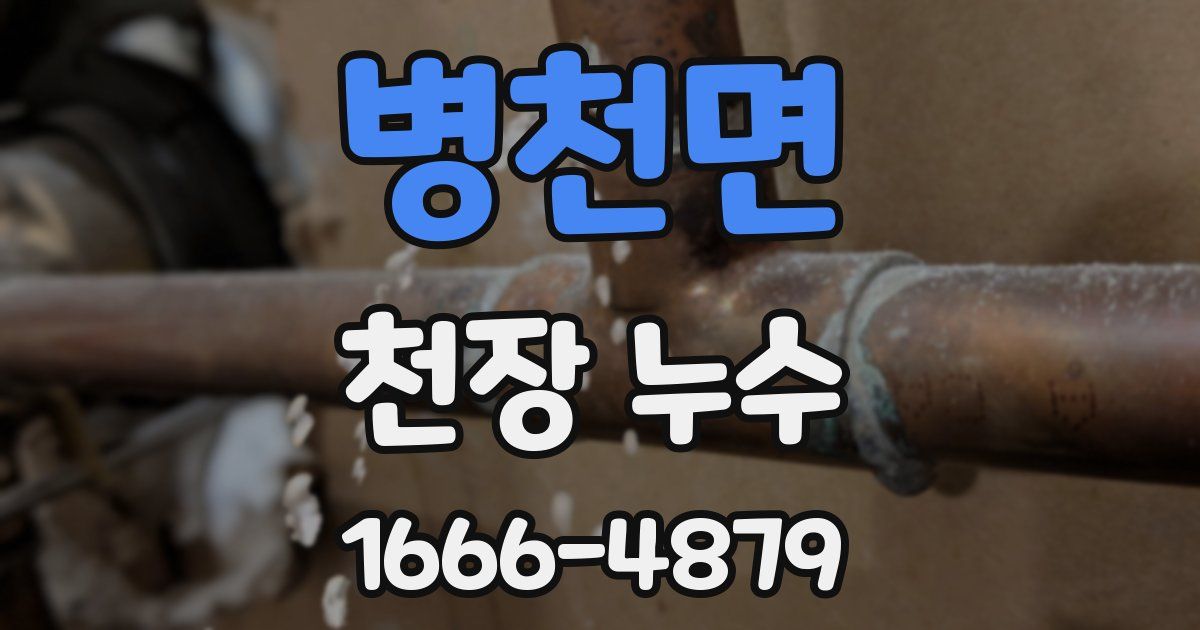 병천면 천장 누수