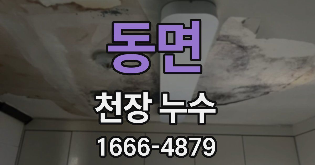 동면 천장 누수