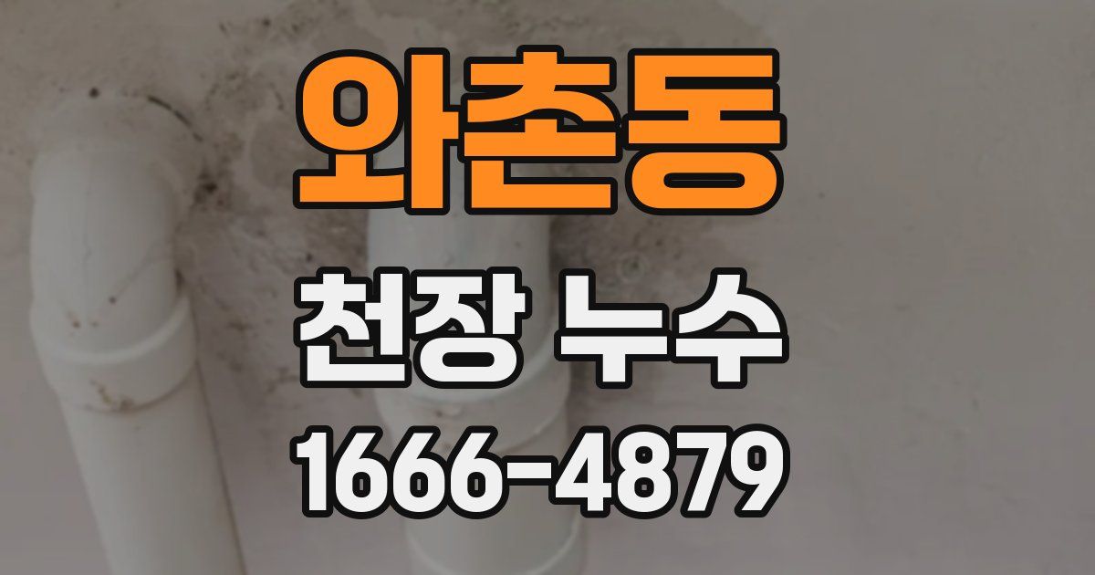 와촌동 천장 누수