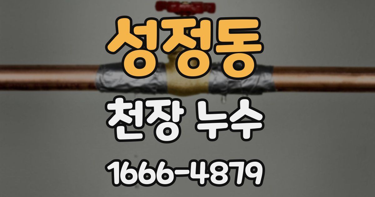 성정동 천장 누수