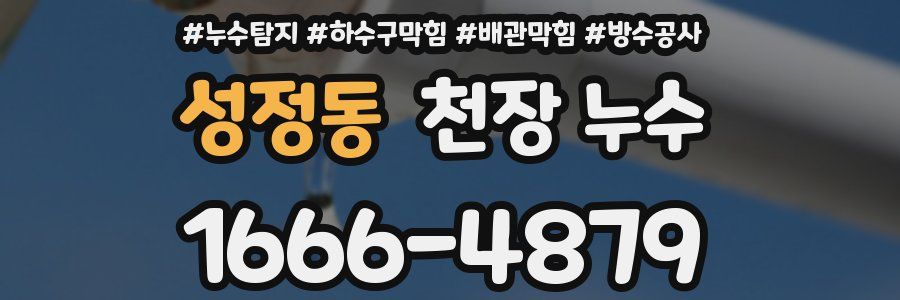 성정동 천장 누수