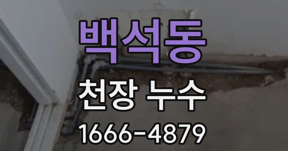 백석동 천장 누수