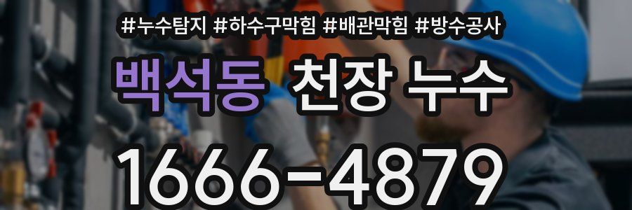 백석동 천장 누수