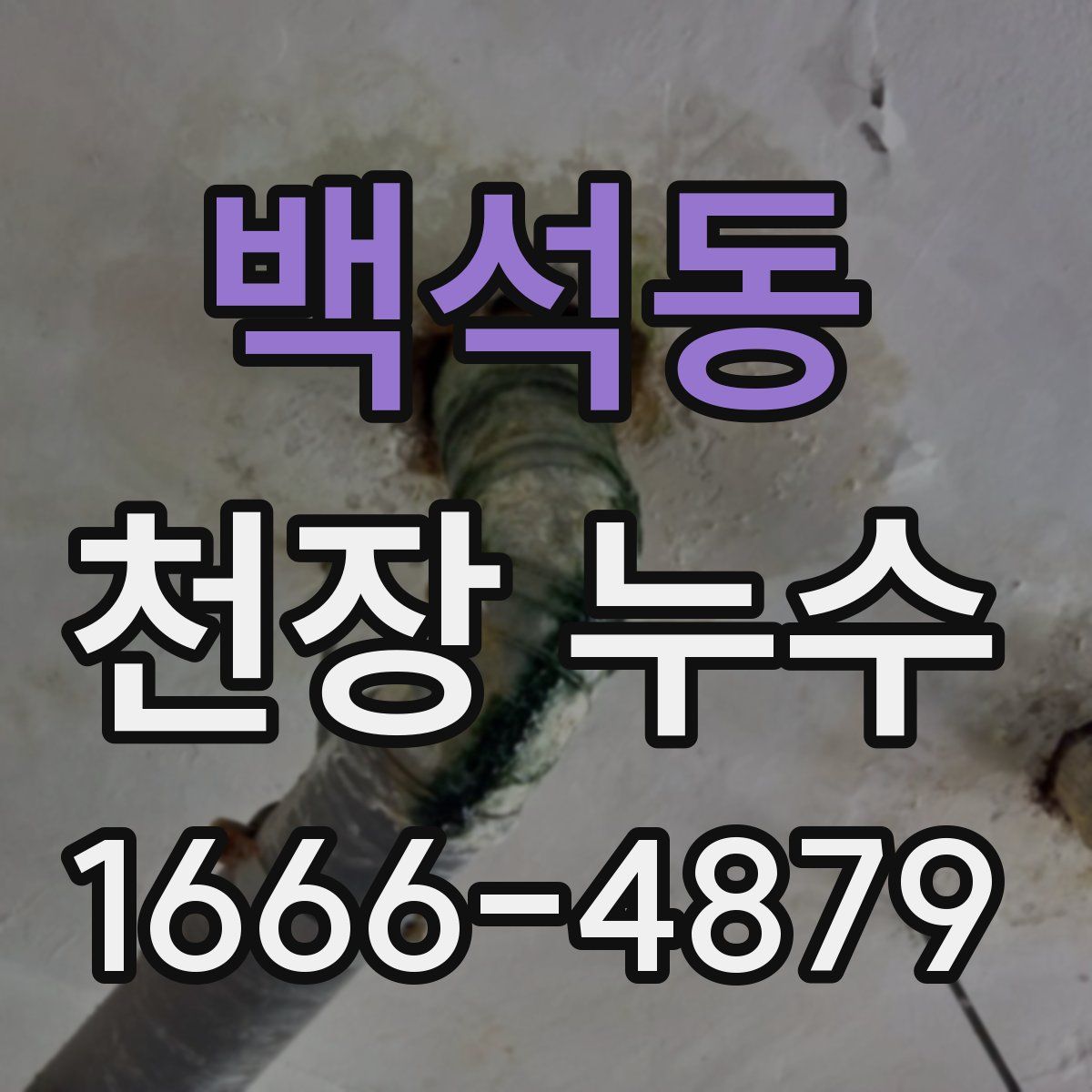 백석동 천장 누수